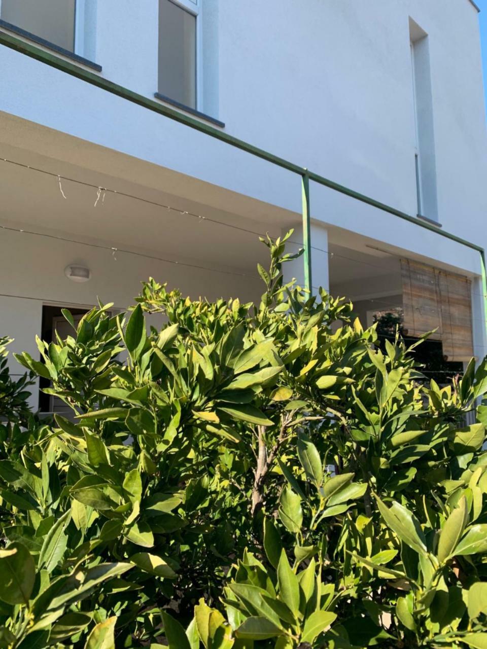 Modern Apartments Day Sibenik Ngoại thất bức ảnh